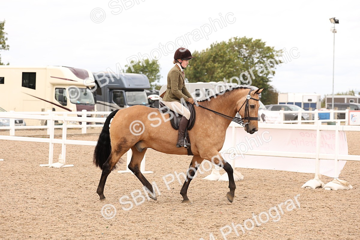 SBM_17197 - Class 213 - Ridden Hunter - Large