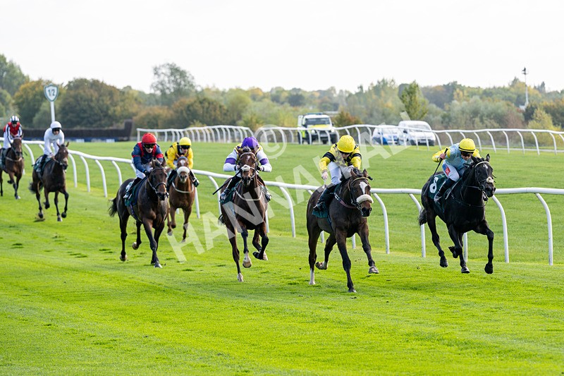 171026-Race 1-Lions Den-4780 - Race 1 1pm EBF 'Confined' Restricted Maiden Stakes