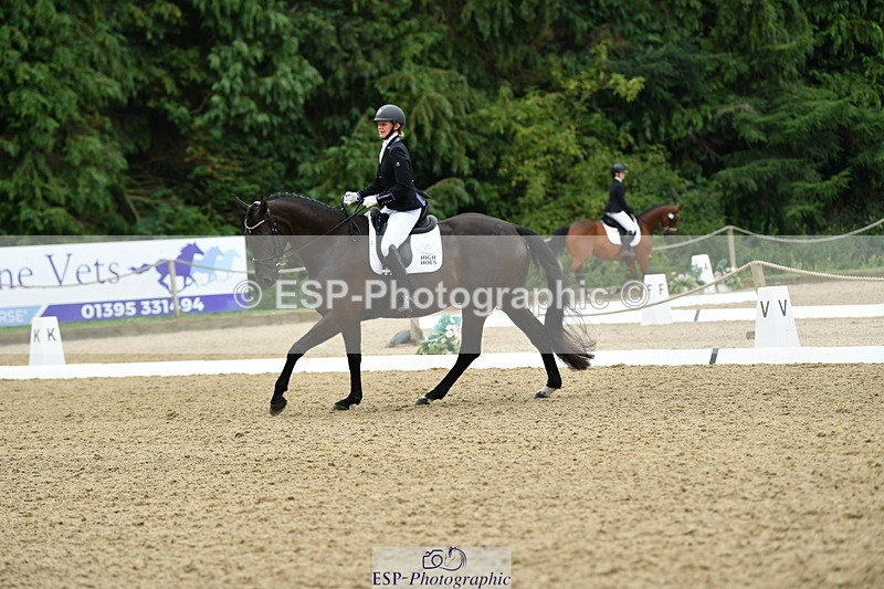 250718A-103821-00218 - 061-Louise.Christie-High.Hoes.Dandelion