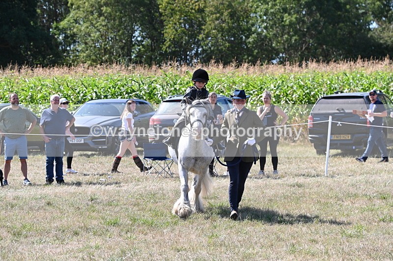 WJ6_7926 - Class 36 Lead Rein