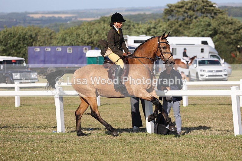 JPP_3294 - Class 21: Working Hunter 80cm