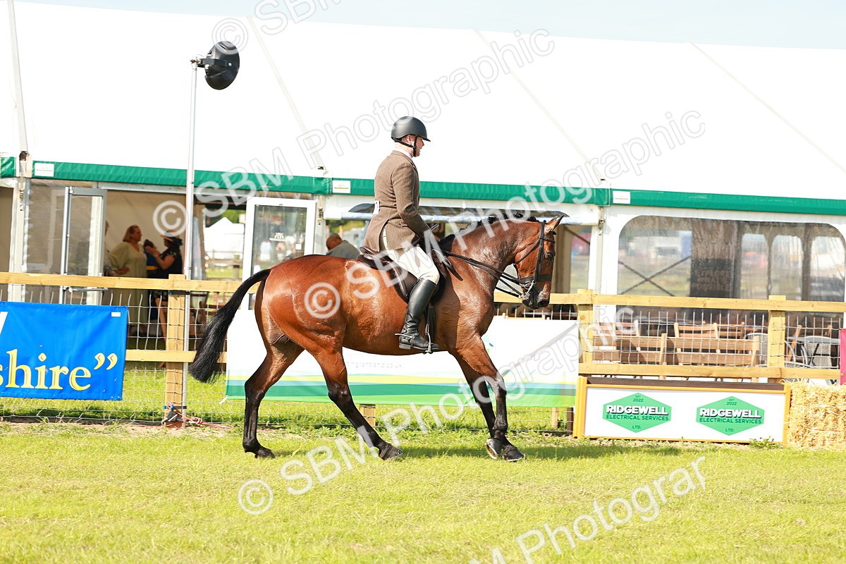 SBM_12032 - Class 66-69 - RIHS Ridden Hunters Inc Small Hunter