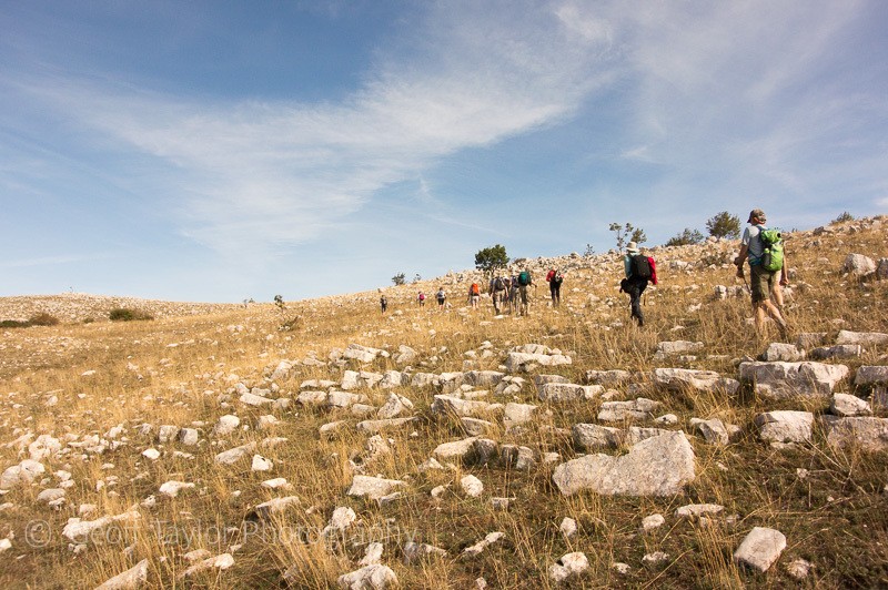 Valley of the orchids walk - Naples, Padula & Northern Calabria