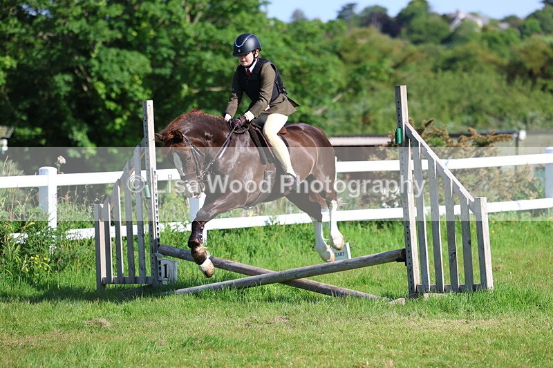 3E7A5924 - Class 27: Novice Working Hunter Pony