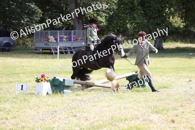 20260614-0613 - Class 20 - Beginners Working Hunter Pony