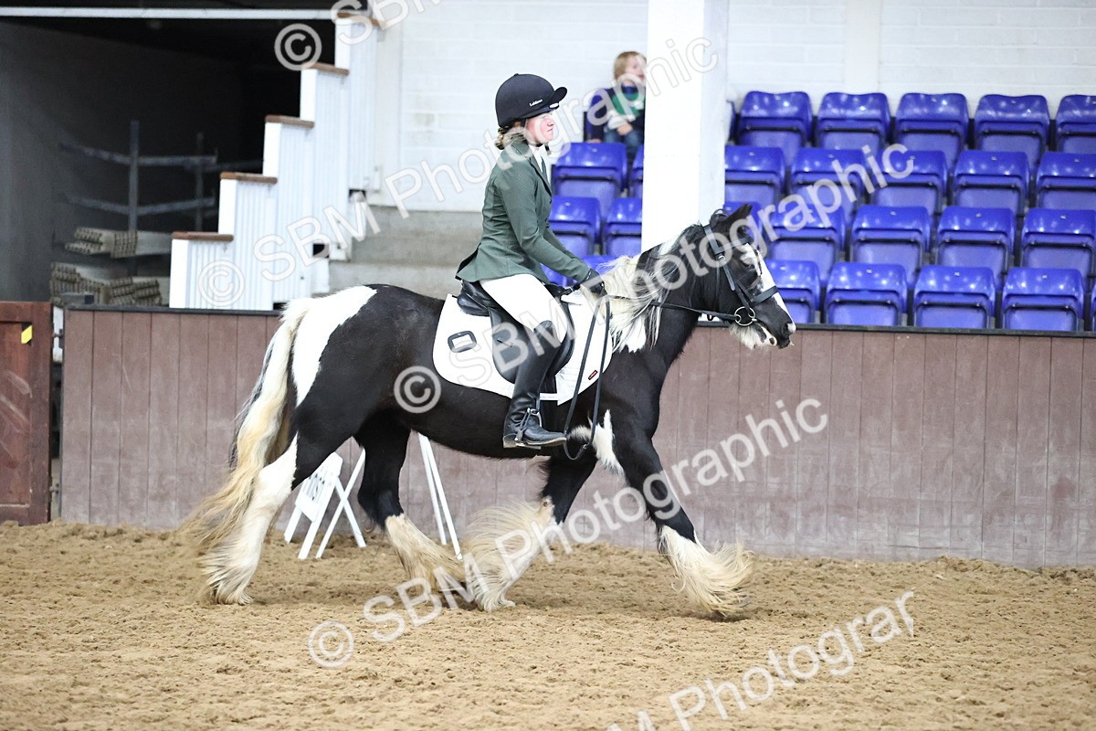 SBM_000226 - Class 2 - The Rug Lady 40cm Area 12 Championship Qualifier