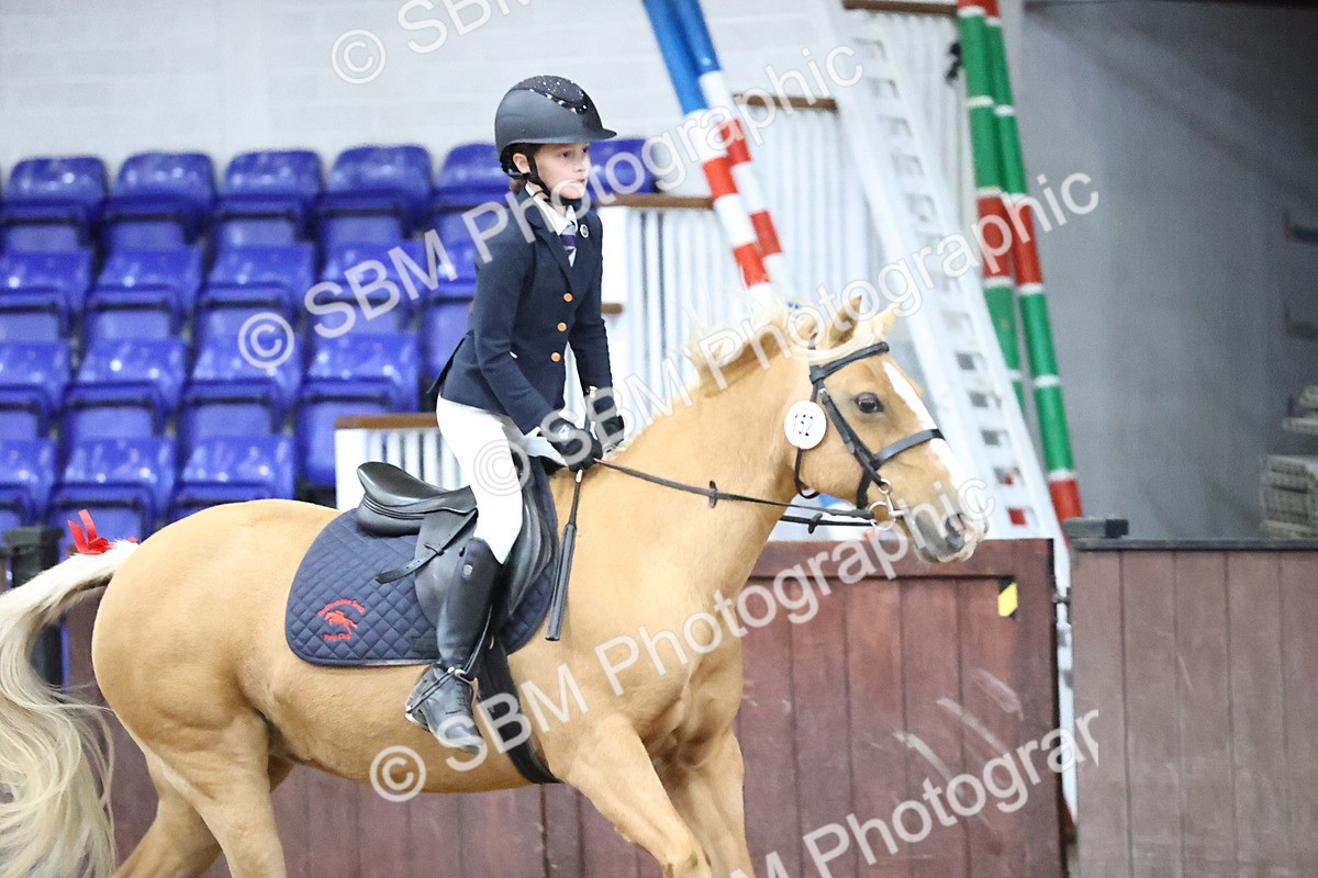 SBM_000109 - Class 2 - The Rug Lady 40cm Area 12 Championship Qualifier
