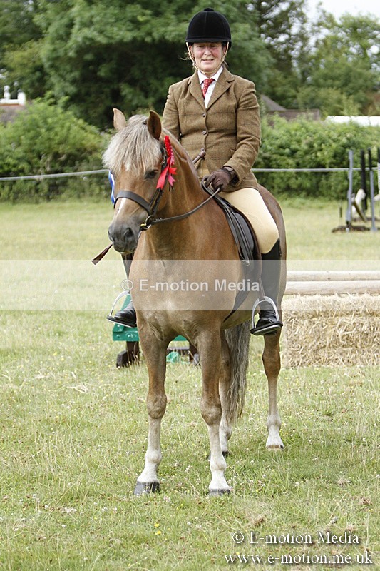 BVR160717-188 - Ring 3 BVRC Show 16/07/17