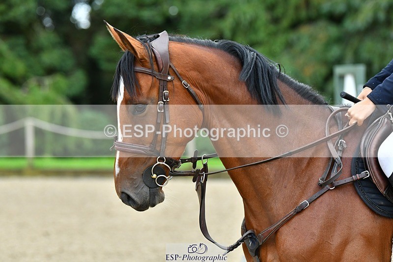 230715-093917-32293 - Cls 84 4 yr old Champ