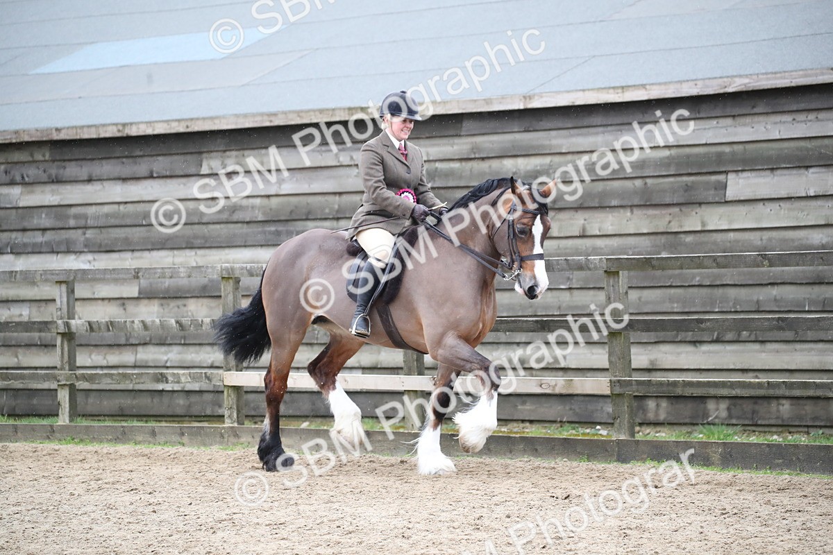 SBM_007326 - Class 10-13 - RIHS Small Large Breeds