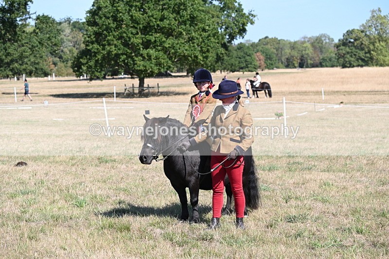 WJ6_7647 - Class 34 Judges Choice