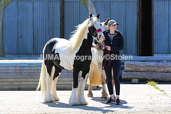 SIAL0540 - Indoor Classes