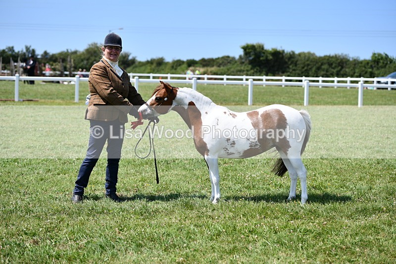 DSC_7789 - Class 64: Coloured Pony 4yrs & over