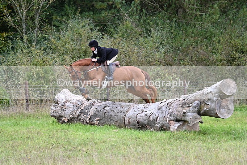 WJ7_3859 - Camera 1 Line 1