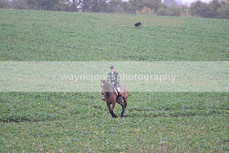 WJ7_8889 - Camera 1 only on this line