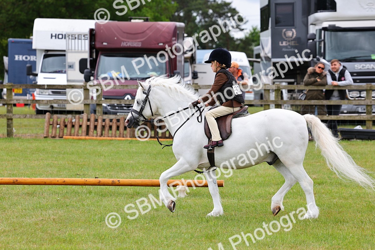 SBM_08686 - Class 42-43 - LIHS BSPS Heritage Working Sports Pony