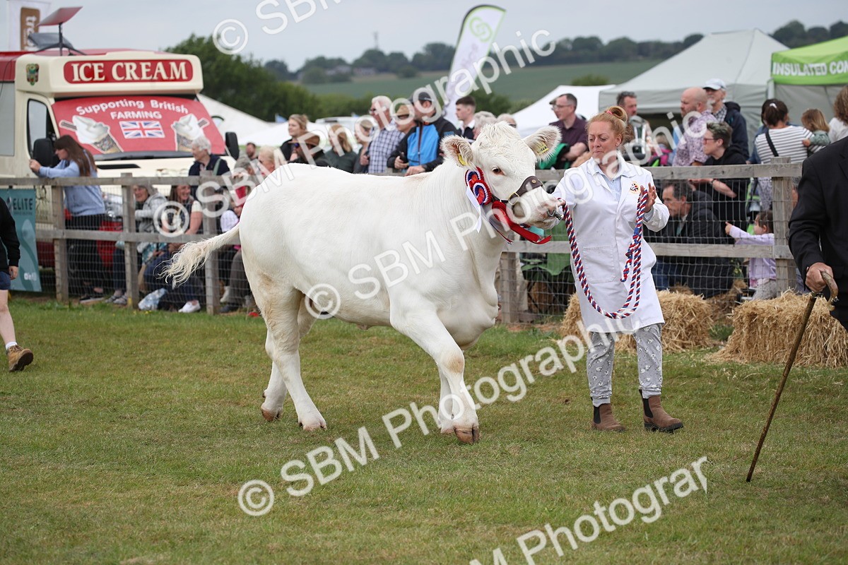 SBM_07824 - Grand Parade