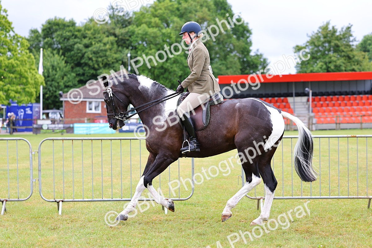 SBM_02511 - Class 9-11 Side Saddle including LIHS Rising Star Ladies Show Horse