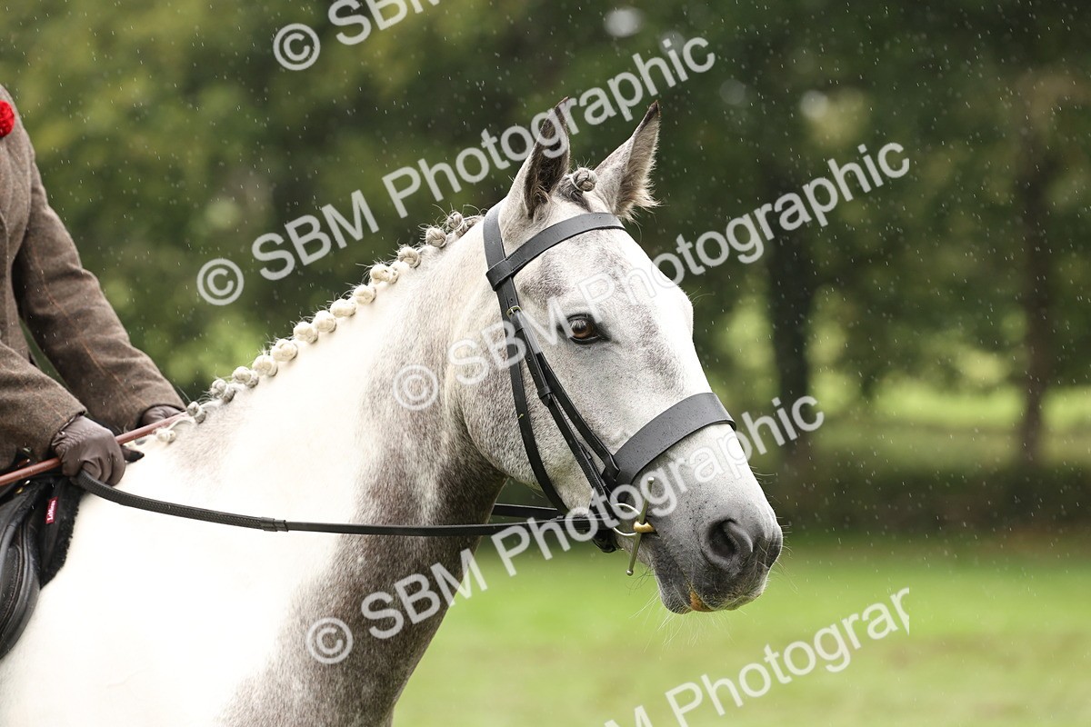 SBM_69902 - S68 - Other Coloured Horse Ridden