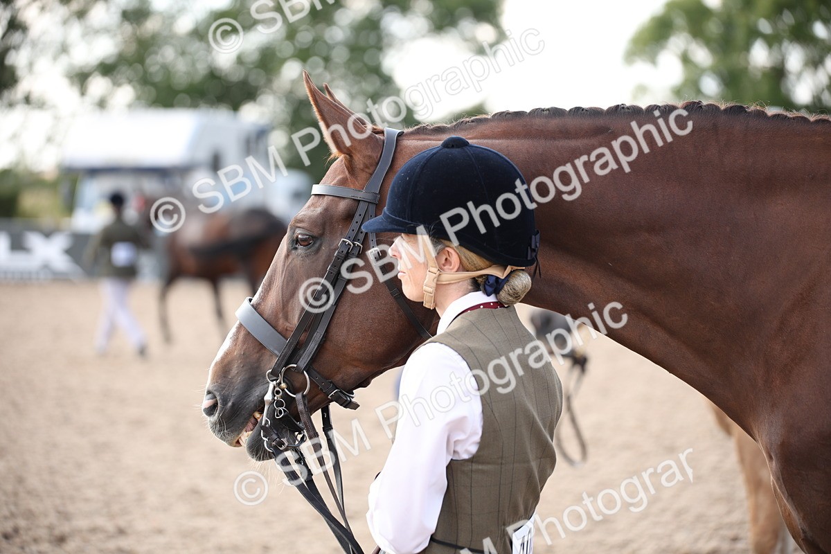 SBM_07107 - Class 25 IH Foreign Breeds- Pure bred