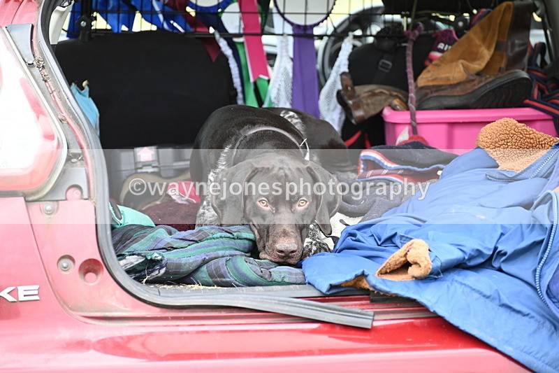 WJ6_4192 - Time at Jump 12:22 to 13:03