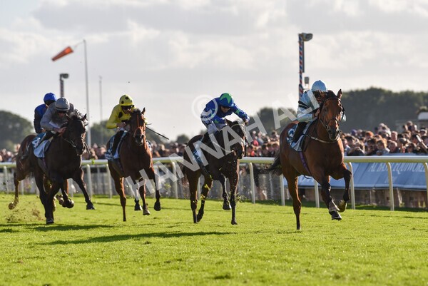 yr08102022r5-43 - Race 5 3.50pm The Coral Committed To Safer Gambling EBFStallions.com Maiden Stakes