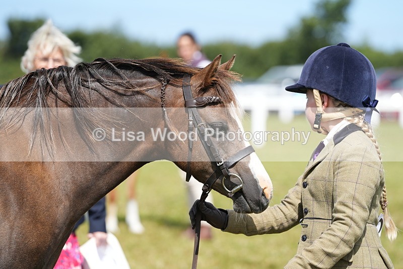 DSC05551 - Class 50: NPS M&M 4 years and over Small Breeds