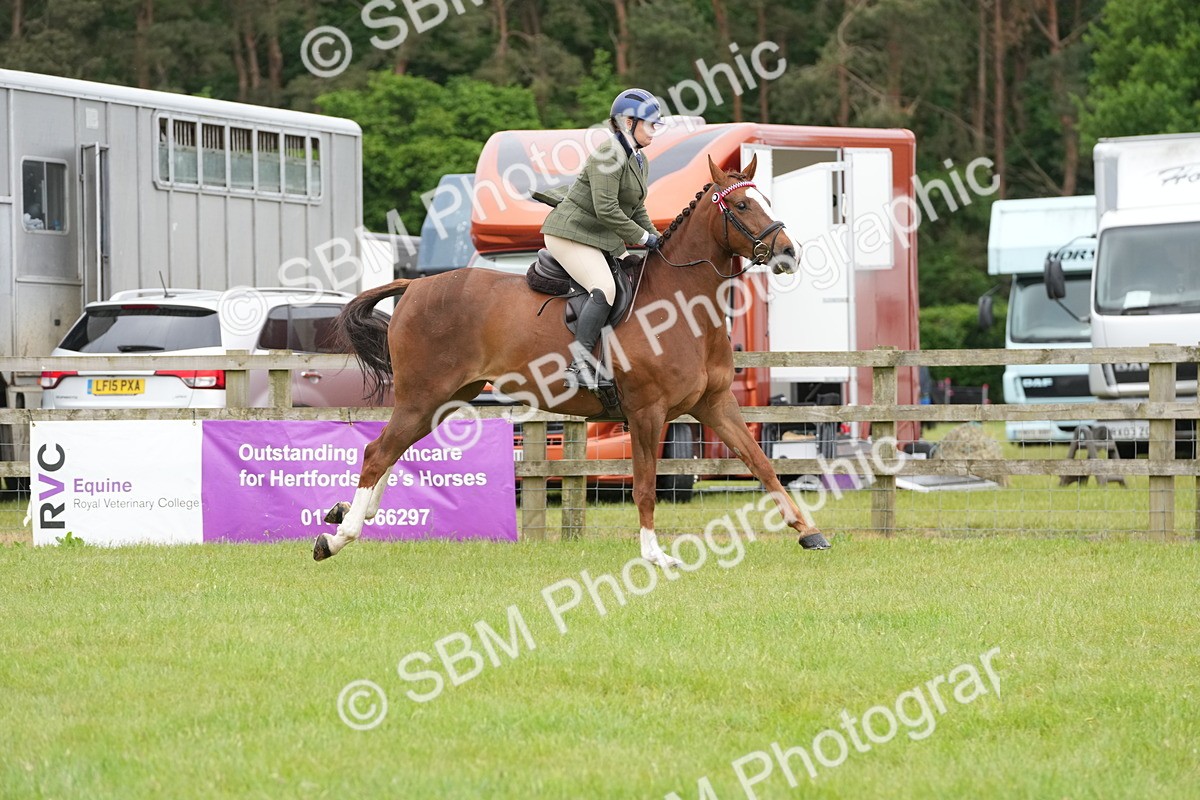 SBM_12839 - Class 97-98 - LIHS BSHA Rising Star Working Show Horse Hunter
