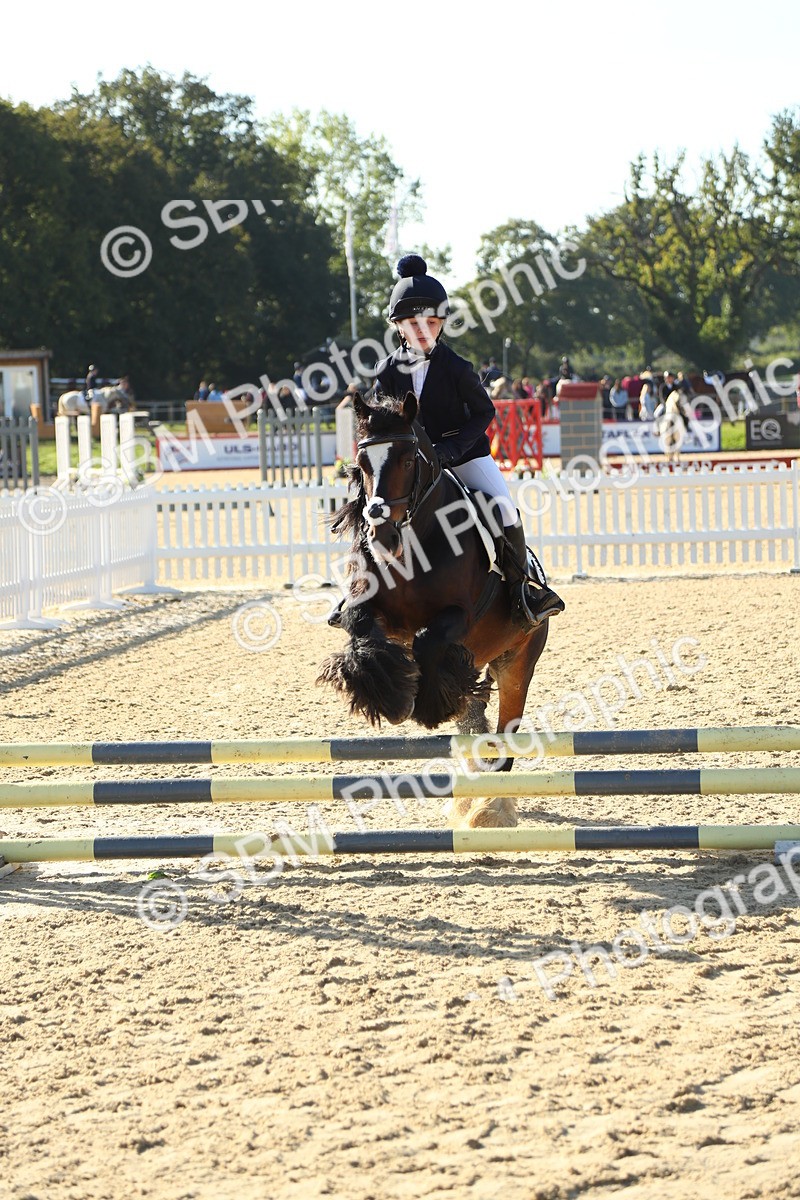 SBM_35850 - J5 - Junior Pony 50cm Championship
