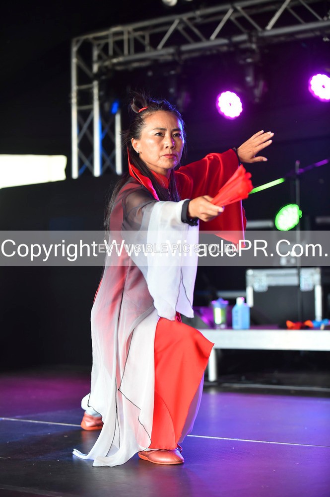 SH4_1643 - Tai Chi with Lisa Kay.