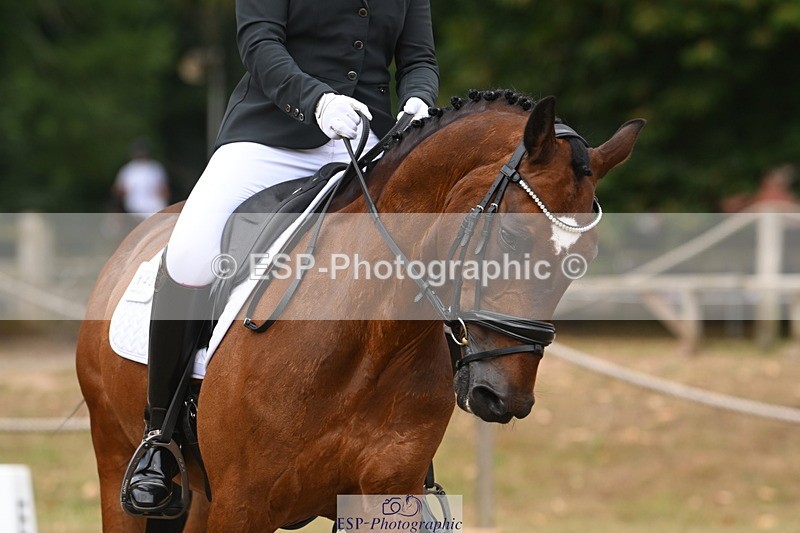 250719A-102913-03406 - 143-Danielle.Thackray-Trevoulter.Mega.Mix.Two