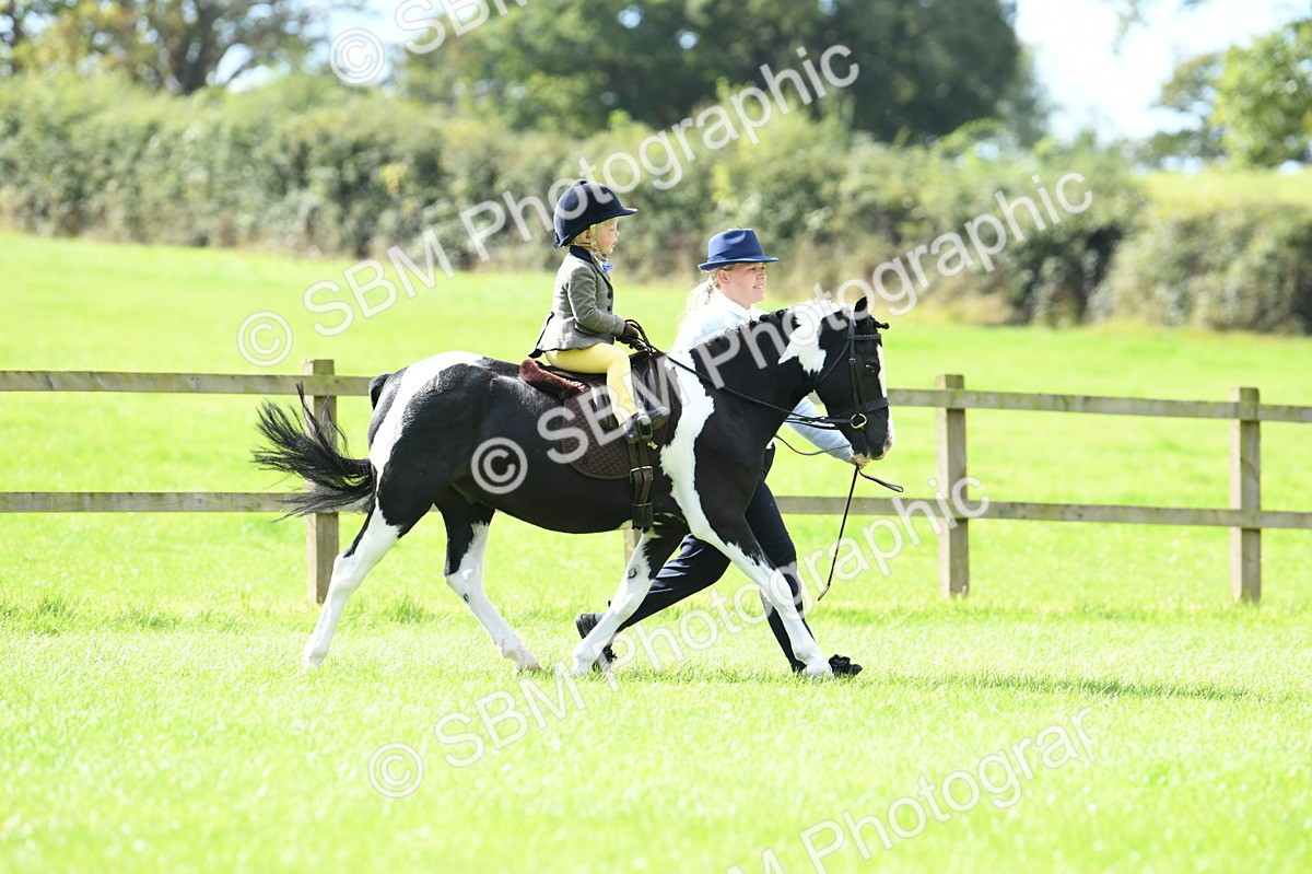 SBM_41159 - S19 - Lead Rein Show & Show Hunter Pony