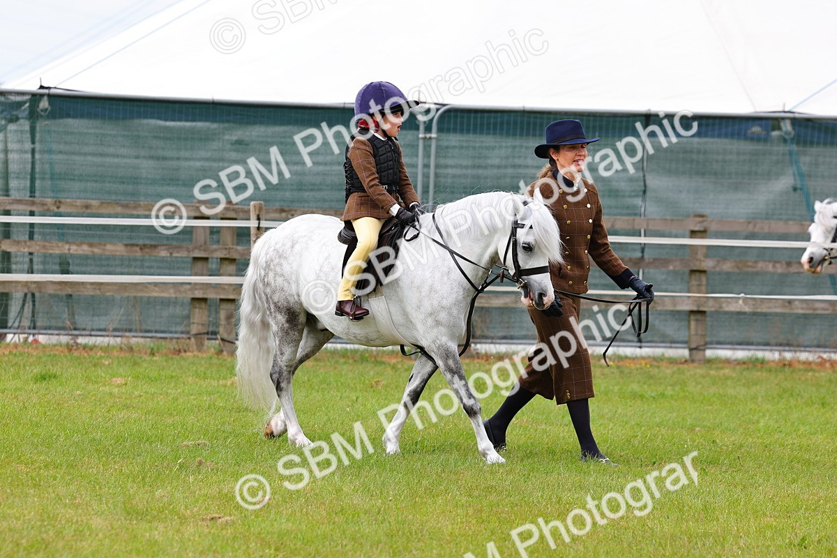 SBM_08276 - Class 42-43 - LIHS BSPS Heritage Working Sports Pony