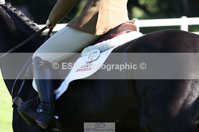 231022-104603-24732 - 647-HAPPY.BIATS-Lucy.Wisher-TrotUp+SJ