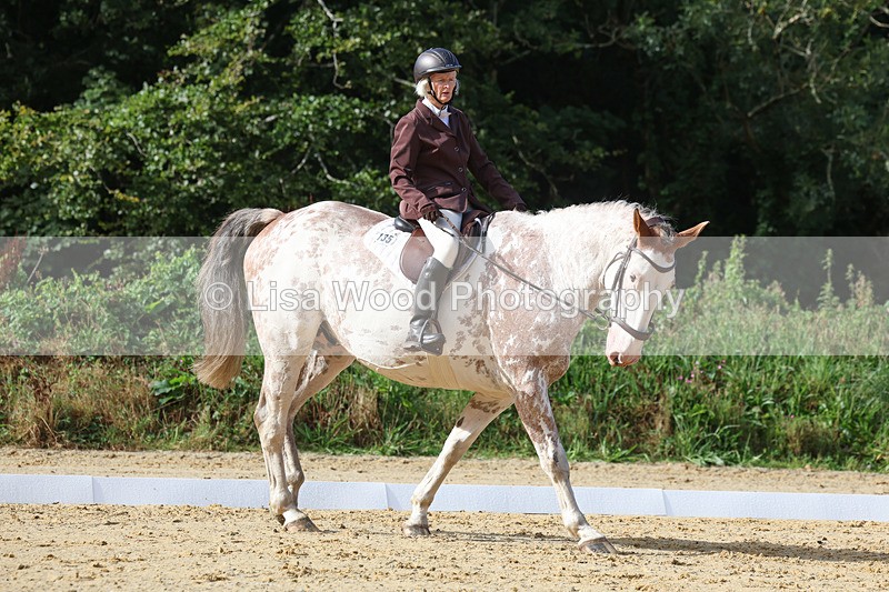 3E7A2410 - Class 1: Intro 4 2024 section A