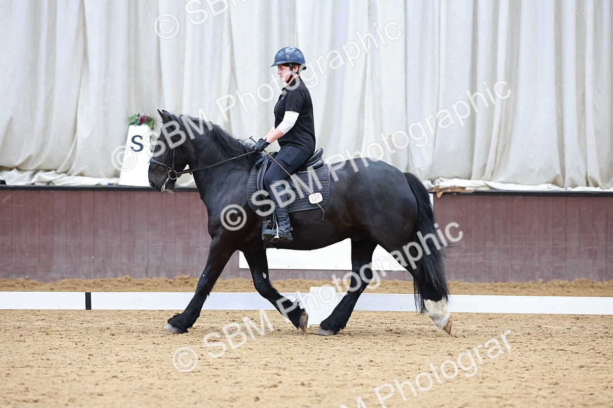 1I0A0784 - Class 3-6 - Prelim 1-Novice 2