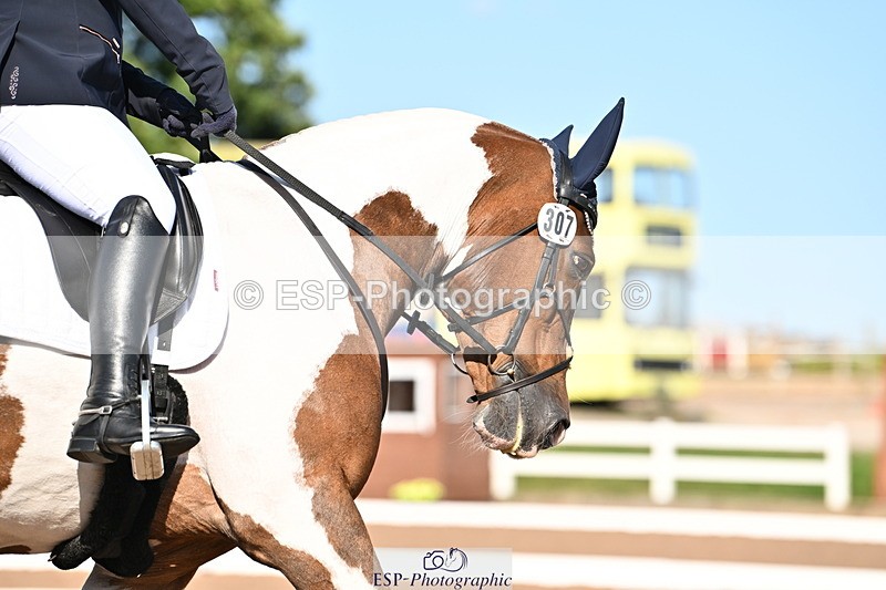 240816A-164907-06278 - 307-Rachel.Cook-Tiger.lily.vi