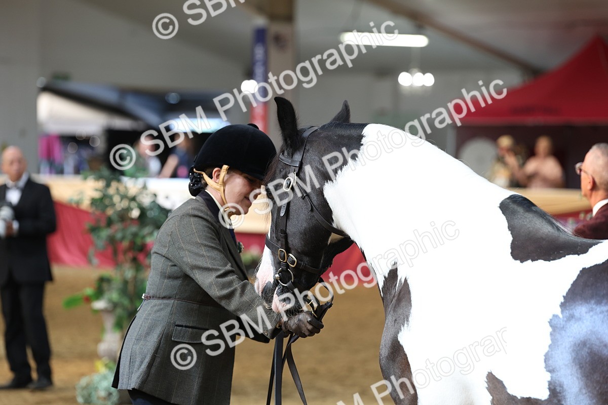 SBM_23309 - Class 903 - Supreme Final - IH Pre Vet