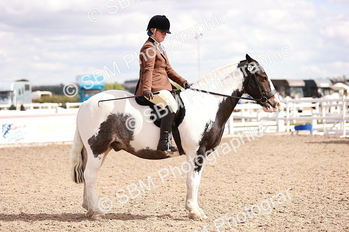 SBM_14485 - Class 410 - Grassroots Ridden - Horse