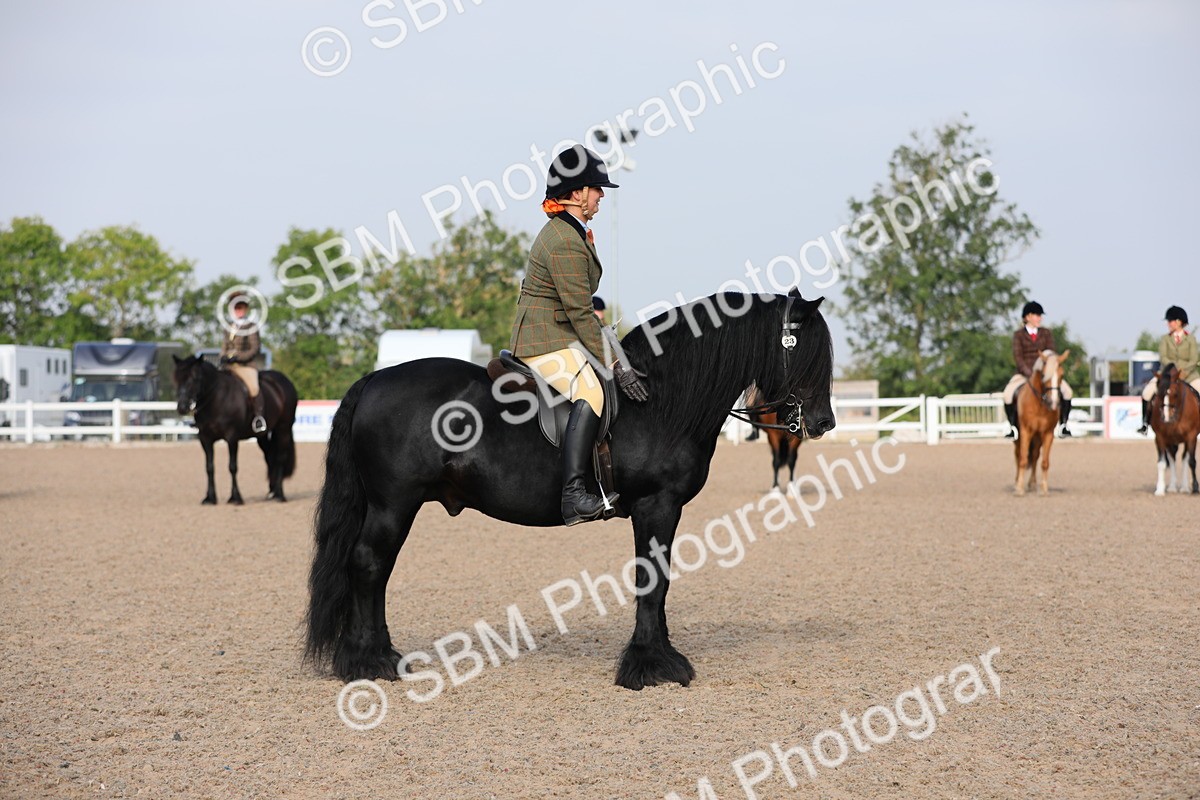 SBM_10118 - Class 302 Ridden M&M -Large Breeds