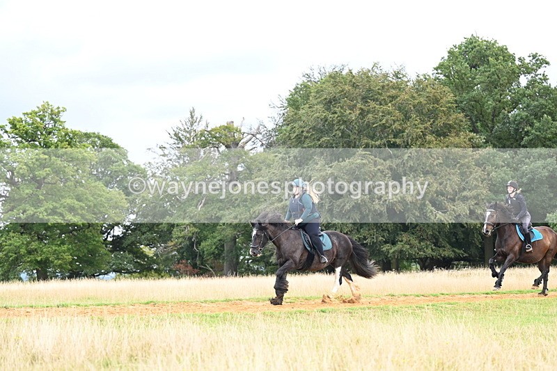 DSC_5095 - Time at Statue 11:10 to 11:42