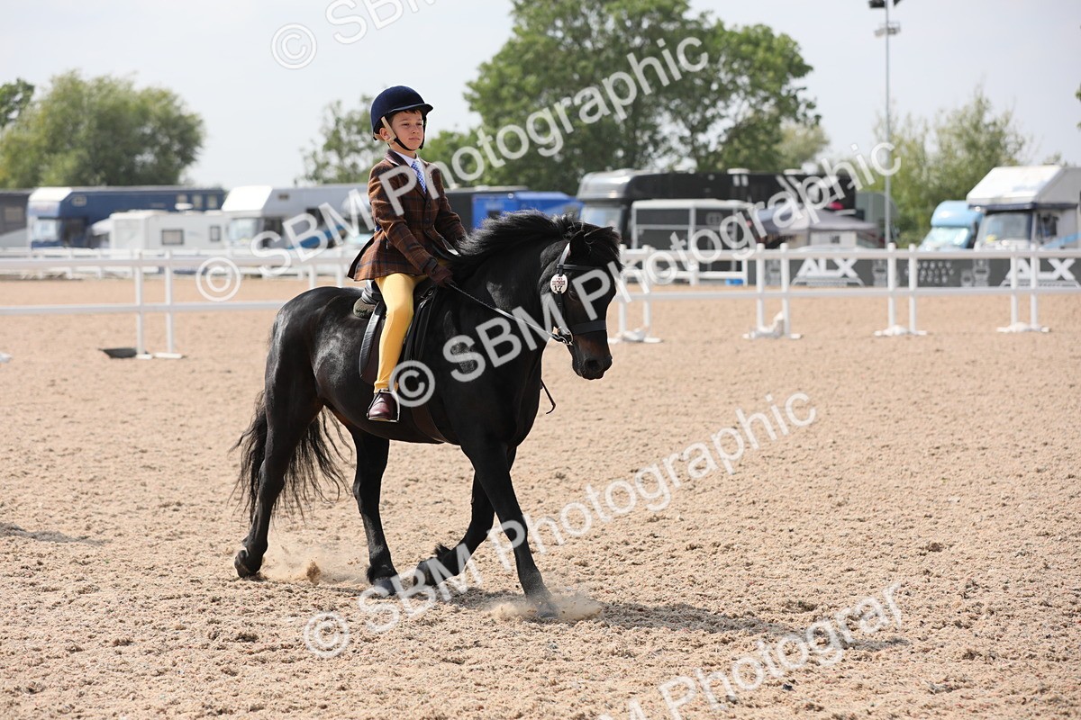 SBM_14714 - Class 310 First Ridden Pony