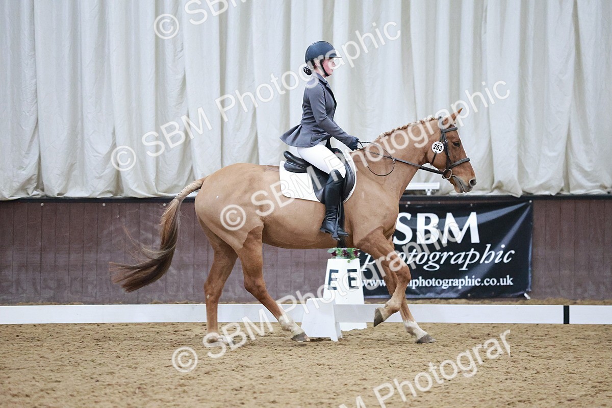 SBM_004653 - Ring 3 - International -  Working Hunter Classes 23-2-25