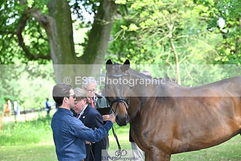 250521A-153404-00595 - B-317-Rupert.Batting-COOMBELAND.TALISMAN