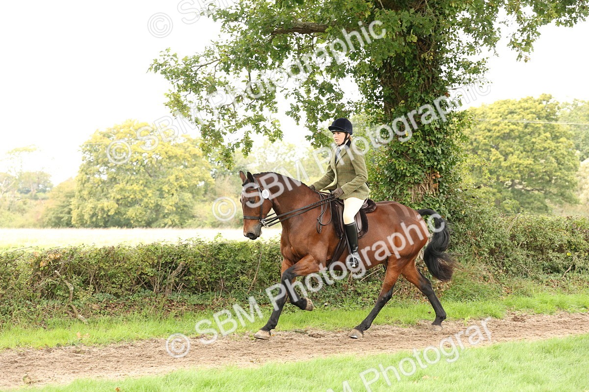 SBM_66349 - S66 - Hunter Ridden