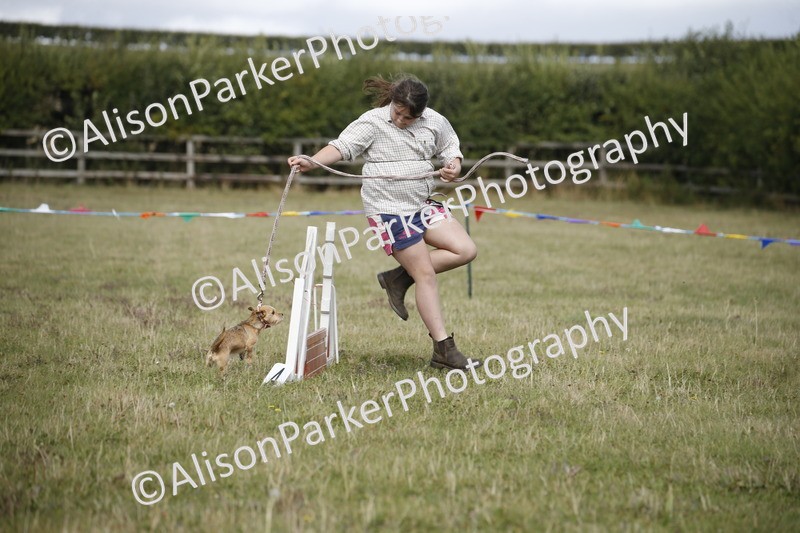 20250831-3876 - Dog Show