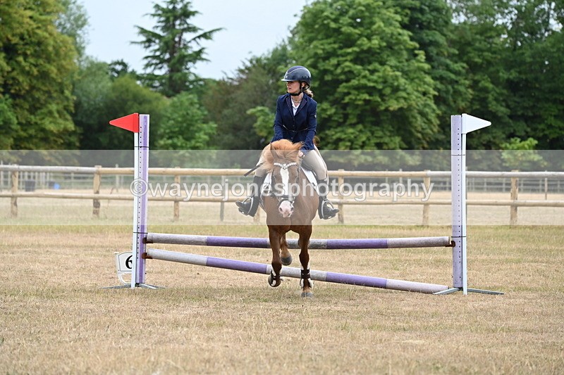 WJ6_0210 - Class 13 Novice Jumping 60cm