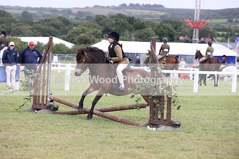 JPP_1767 - Class 18: Tiny Tots Working Hunter Pony