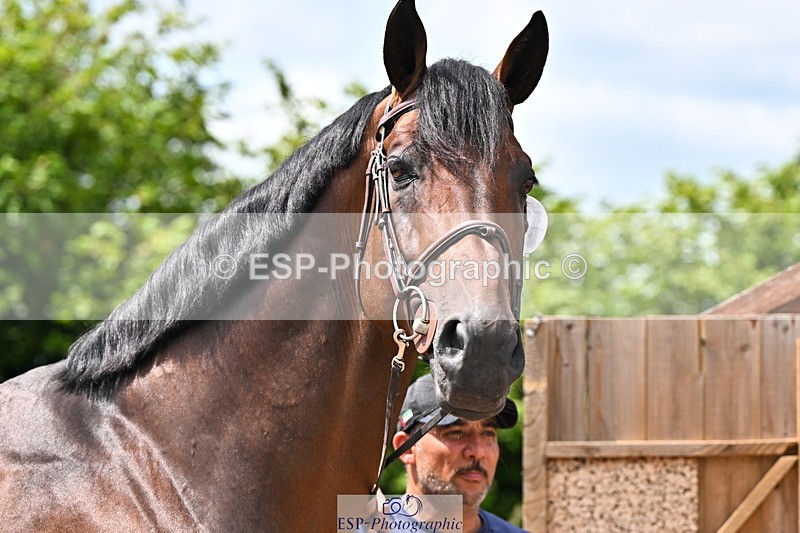 240718A-105306-01572 - Trot Up 1pm to 2pm