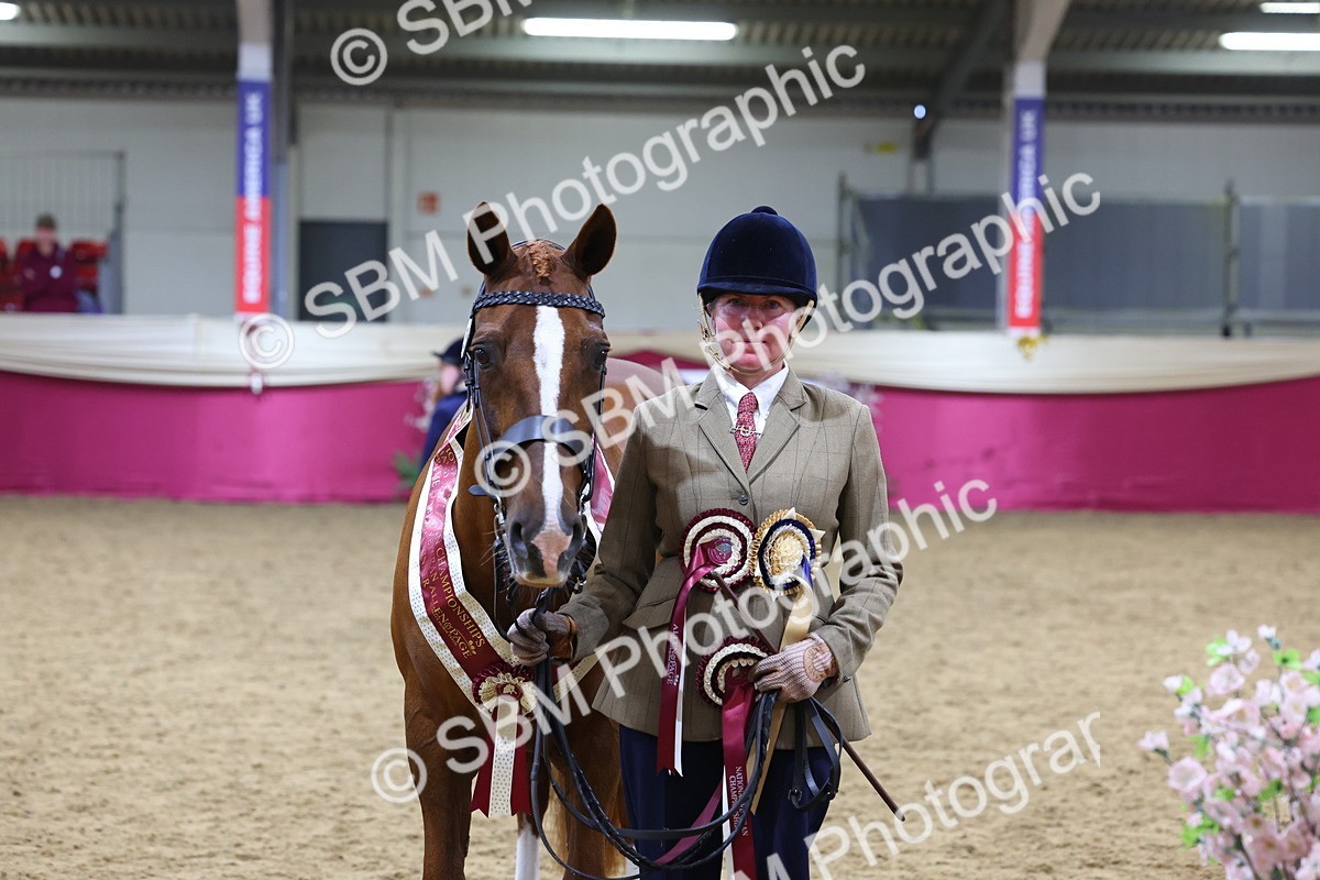 SBM_19810 - Class 901 - Supreme Final - IH Diamond